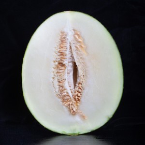 Melon vert  Fruits exotiques