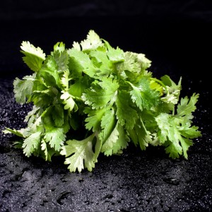 Coriandre botte 30g  Herbes aromatiques