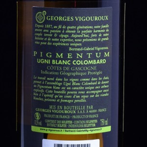 Vin blanc Côtes de Gascogne Pigmentum 2019 Domaine Vigouroux 75cl  Vins blancs