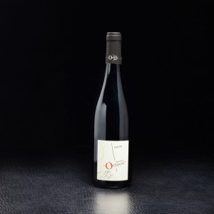 Vin rouge Touraine Gamay 2020 Domaine Octavie Oisly 75cl  Vins bio