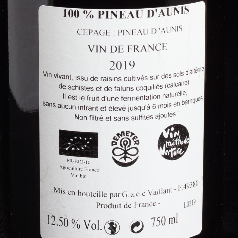 Pineau d'Aunis 2022 75CL Domaine Les Grandes Vignes  Vins rouges