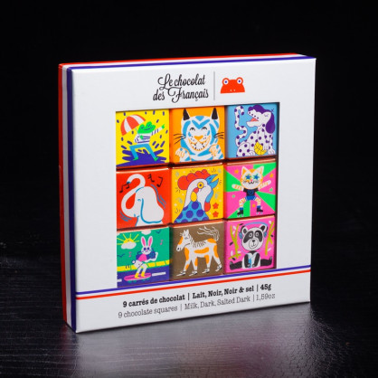 Coffret 9 carrés de chocolats 45g Le Chocolat des Français  Coffret de chocolat