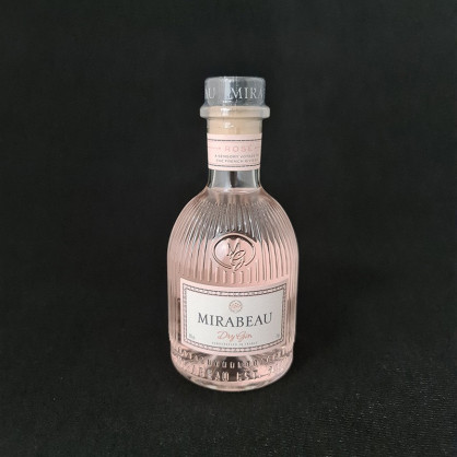 Gin dry 43% 20cl Mirabeau  Gins classiques
