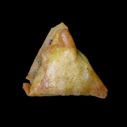 T16 Brick de chèvre au basilic x3  Les tapas