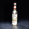 NPT - Sirop pistachio Monin 70cl  Accueil