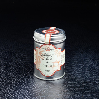 Mélange 5 épices 60g Terre Exotique  Épices