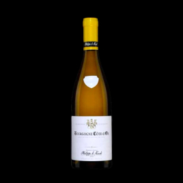 Côte d'Or blanc Clos de la Chaise 75cl Domaine Philipe Le Hardi  Bourgogne