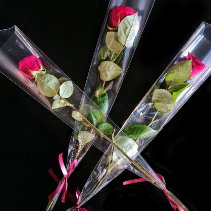 Rose rouge individuelle