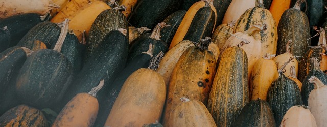 Aubergines, courges, poivrons