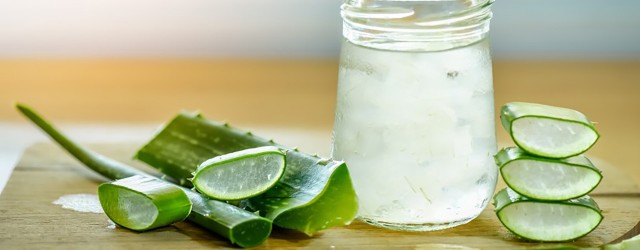Aloe vera