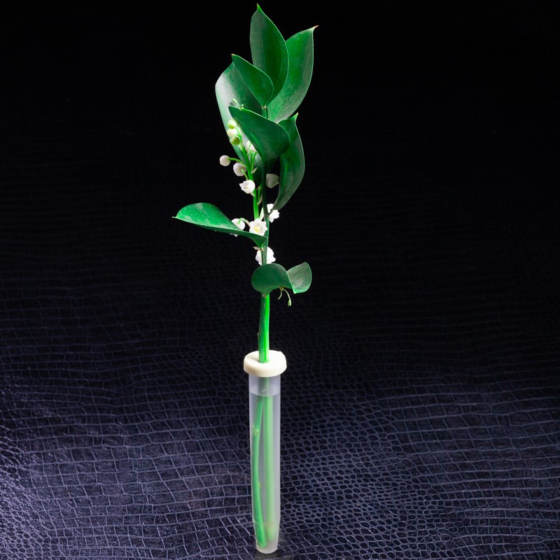 Muguet 1 brin  Fleurs