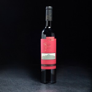 Vin rouge Agentin 2014 Réserve Cabernet Sauvignon Domaine Raffy 75cl  Vins rouges