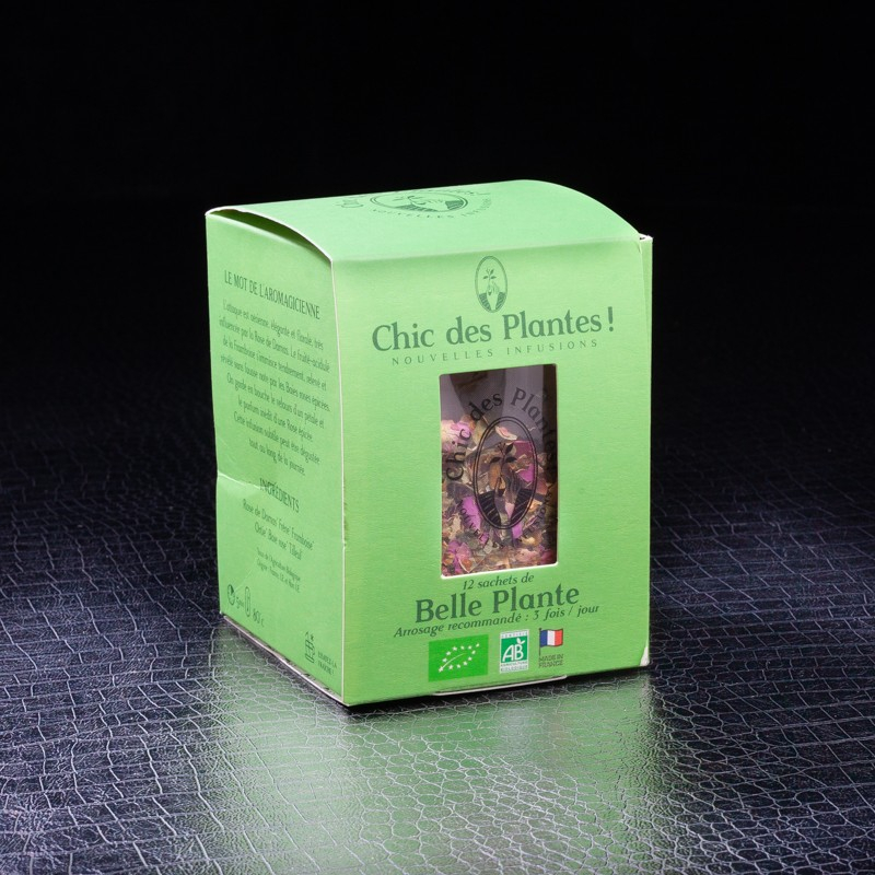 Belle plante Chic des Plantes x12 sachets  Infusions