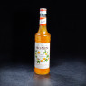 Sirop fruits de la passion Monin 70cl  Sirops