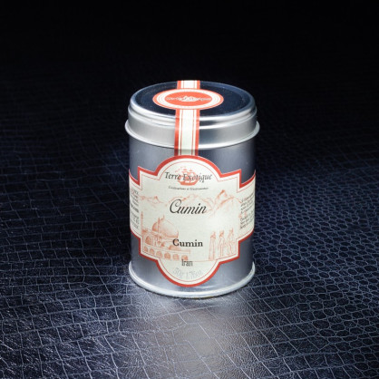 Cumin 50g Terre Exotique  Épices