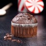 Muffin tout chocolat  Pâtisserie US