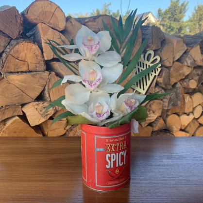 Pot orchidée  Fleurs