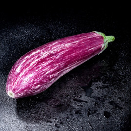 Aubergine Graffiti